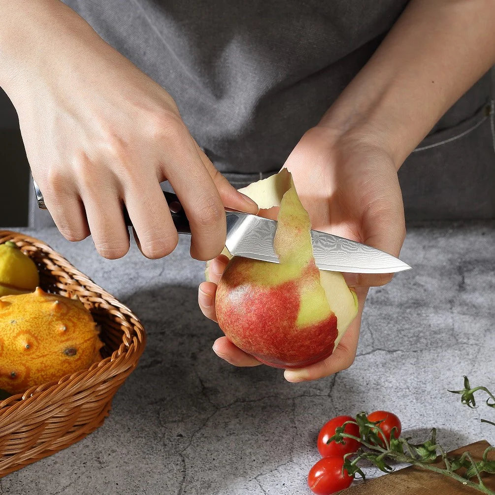 DAMASCUS, Cloud Premium 3.5″ Paring Knife